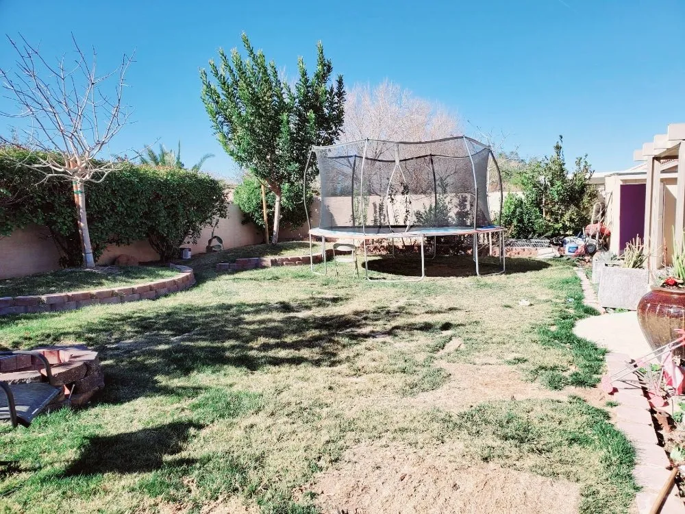 Reliable outdoor landscaping for year-round maintenance in Las Vegas, NV by Extreme Landscape