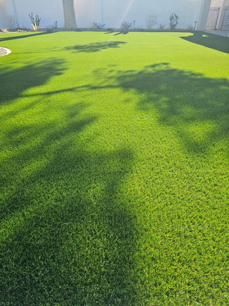 Affordable landscape design in Las Vegas, NV - Extreme Landscape