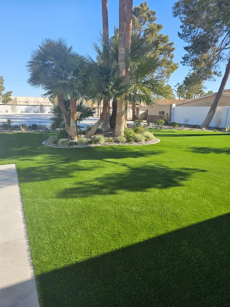 Affordable yard maintenance for homes in Las Vegas, NV by Extreme Landscape