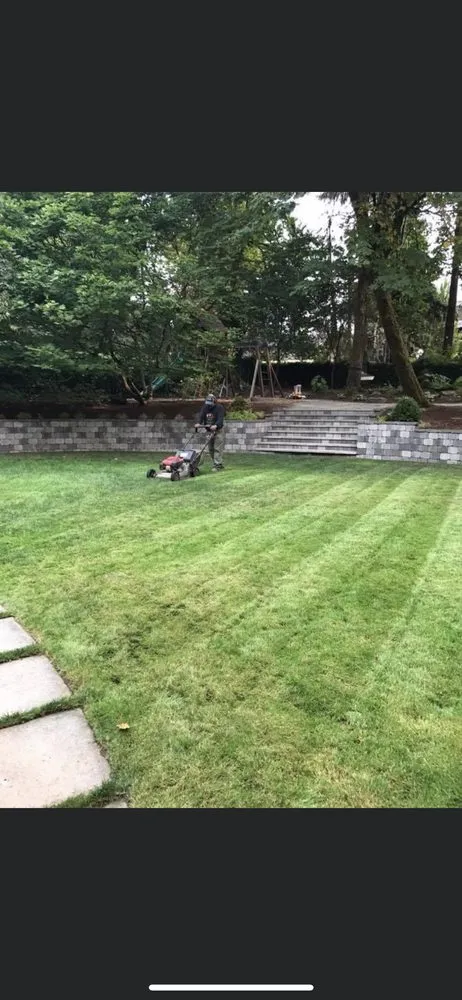Expert yard cleanup service experts serving Portland, OR - Extreme Landscape