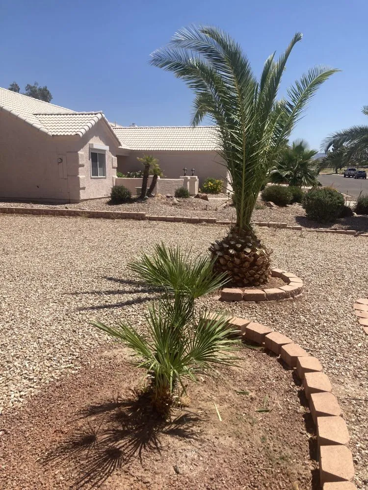 Local residential landscaping experts serving Fort Mohave, AZ - Extreme Landscape Services