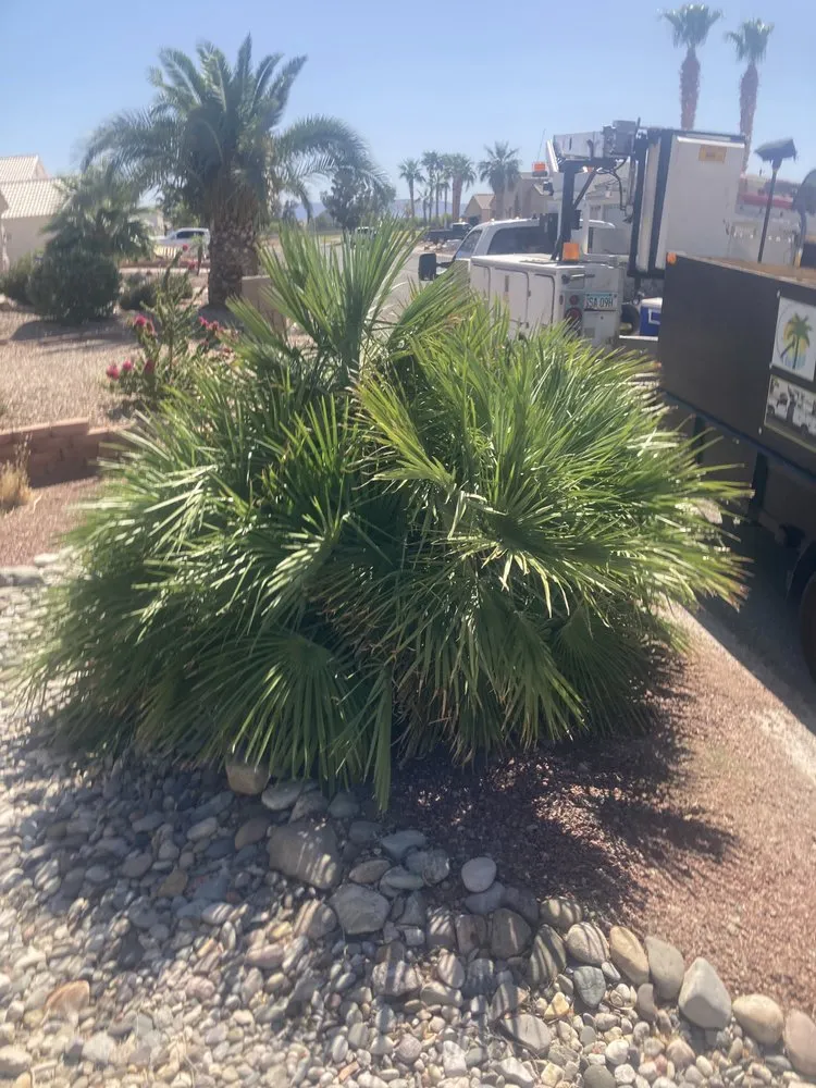 Expert yard cleanup service for beautiful yards in Fort Mohave, AZ by Extreme Landscape Services