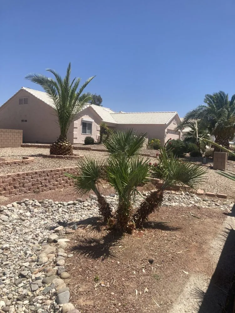 Top-rated outdoor landscaping in Fort Mohave, AZ by Extreme Landscape Services