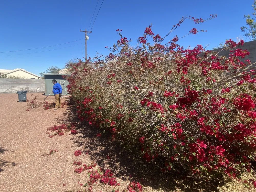 Expert landscape design near you in Fort Mohave, AZ by Extreme Landscape Services