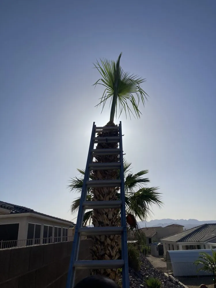 Professional yard cleanup service for outdoor upgrades across Fort Mohave, AZ - Extreme Landscape Services