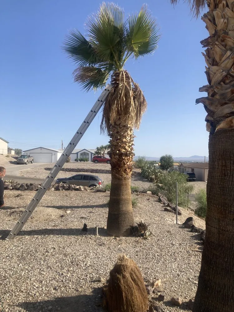Reliable yard cleanup service in Fort Mohave, AZ - Extreme Landscape Services