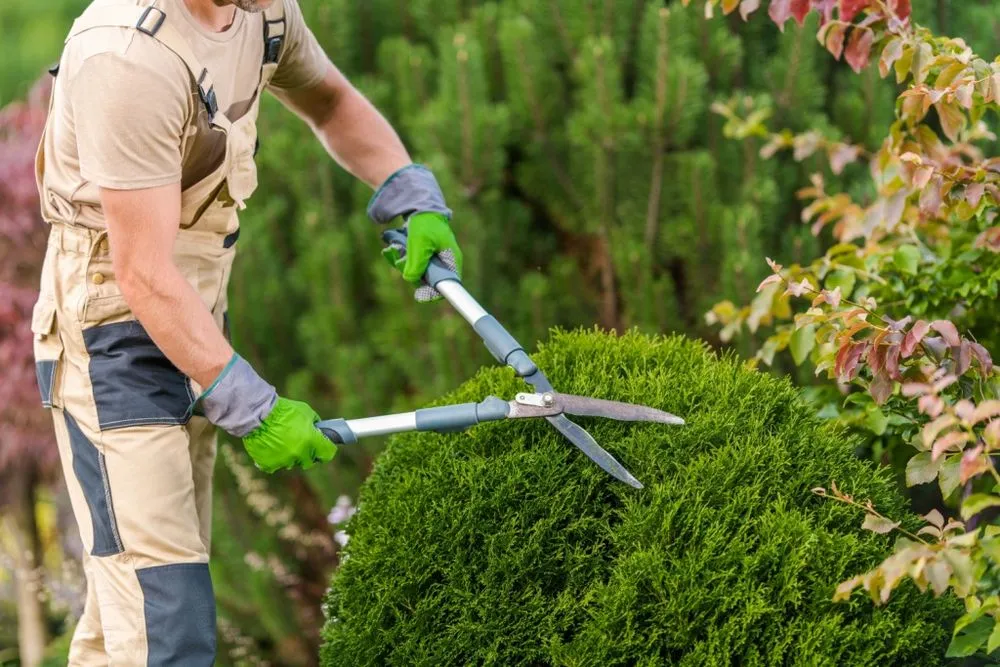 Professional landscape design experts serving Saginaw, MI - Extreme Landscaping & Lawn Care