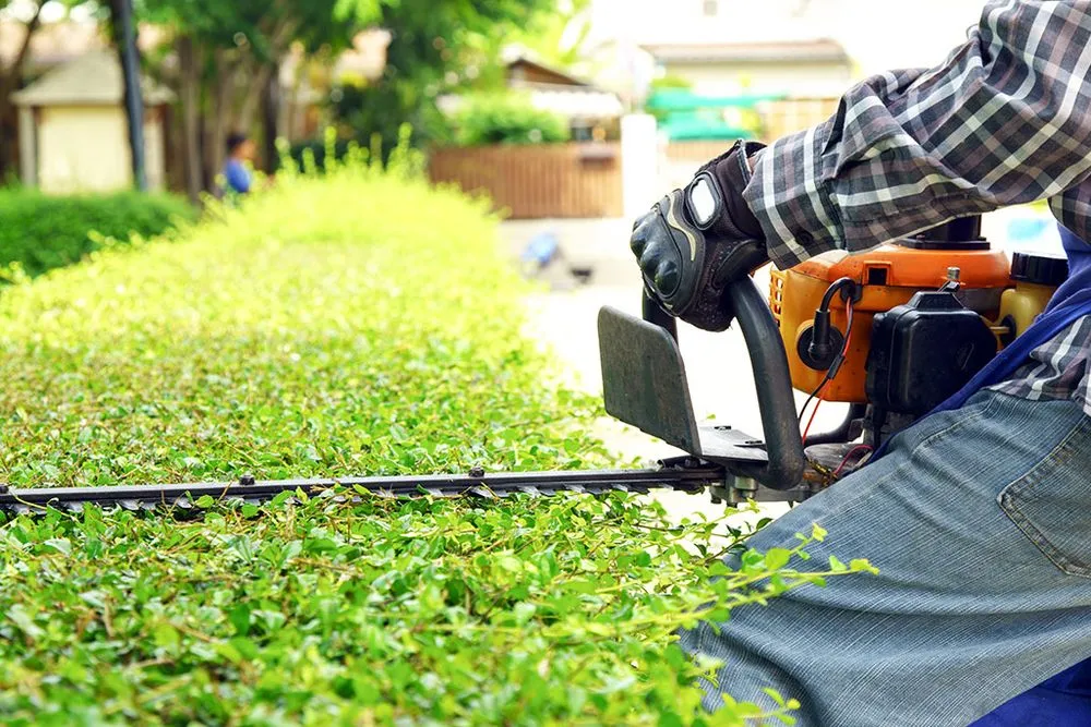 Custom landscaping services experts serving Saginaw, MI - Extreme Landscaping & Lawn Care