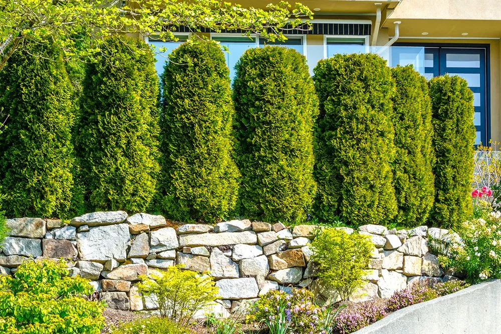 Top-rated landscaping services in Saginaw, MI - Extreme Landscaping & Lawn Care