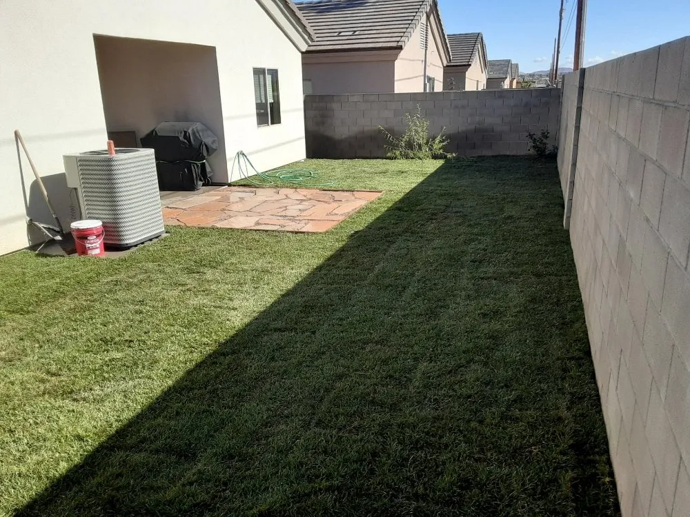 Reliable yard cleanup service in Golden Valley, AZ - Extreme Landscaping