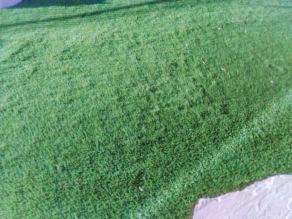 Top-rated lawn care service in Golden Valley, AZ - Extreme Landscaping