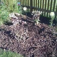 Trusted landscape design for year-round maintenance across Kenosha, WI - Extreme Landscaping