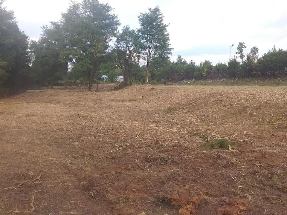 Affordable lawn mowing service for residential properties in Greeneville, TN by Extreme Landworxs