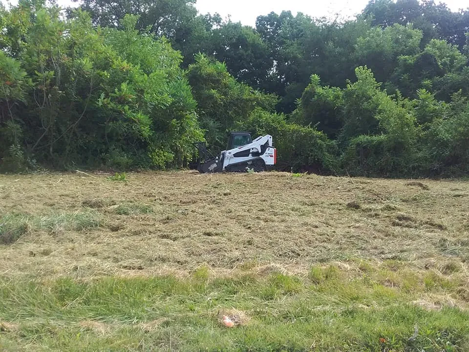 Affordable yard cleanup service for year-round maintenance in Greeneville, TN by Extreme Landworxs