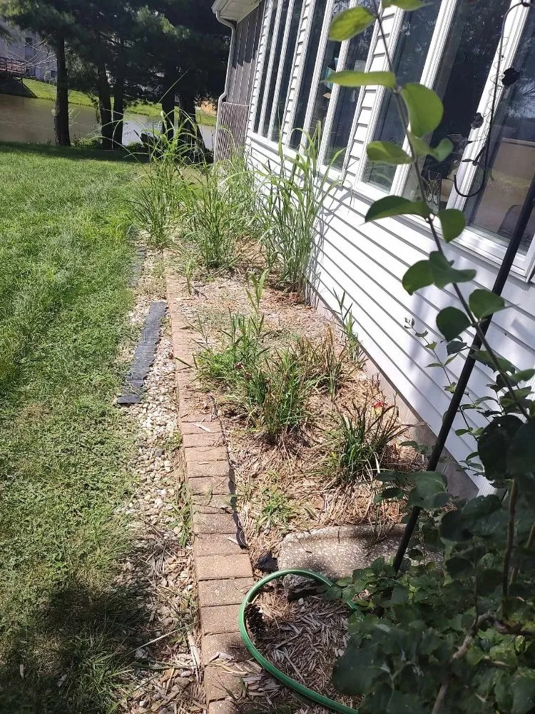 Expert yard maintenance for outdoor upgrades across Springfield, IL - Extreme Lawn Care & Landscape