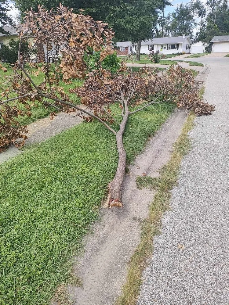 Expert lawn care service for residential properties in Springfield, IL by Extreme Lawn Care & Landscape