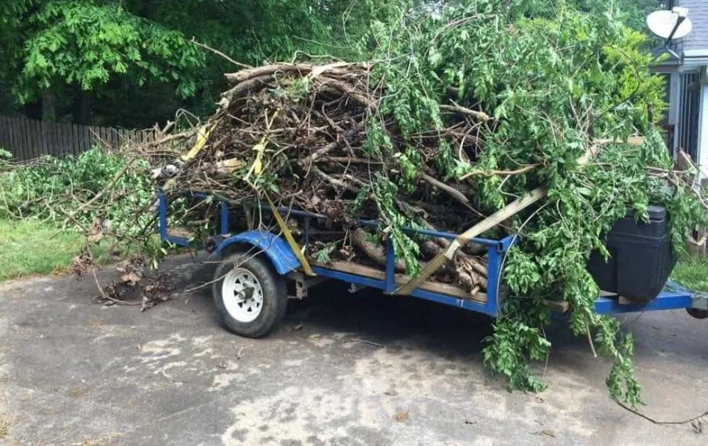 Custom yard maintenance for beautiful yards across Springfield, IL - Extreme Lawn Care & Landscape