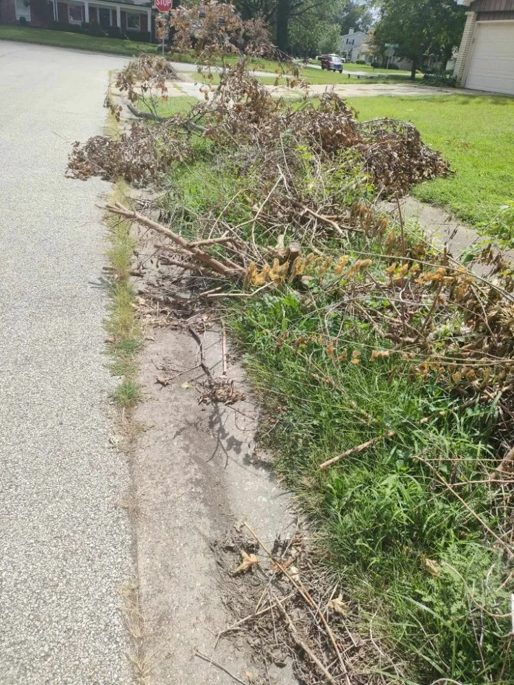 Trusted yard cleanup service in Springfield, IL by Extreme Lawn Care & Landscape