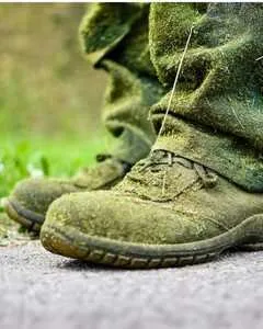 Extreme Lawn Care & Landscape Logo