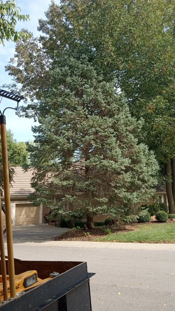 Top-rated residential landscaping for outdoor upgrades across Kansas City, MO - Extreme Lawn Care