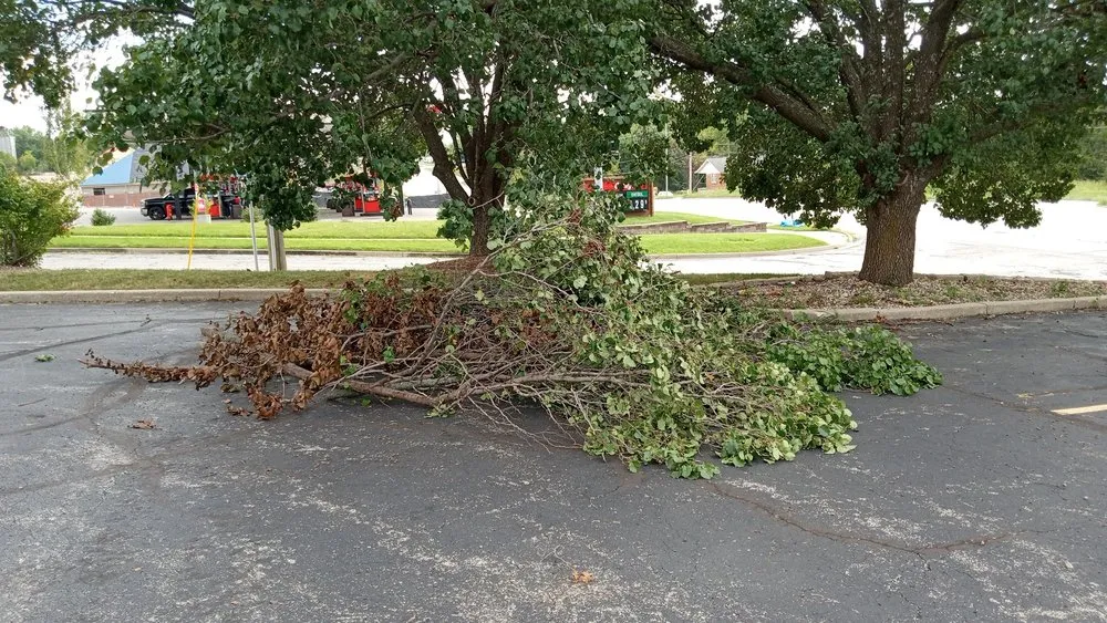 Reliable outdoor landscaping in Kansas City, MO - Extreme Lawn Care