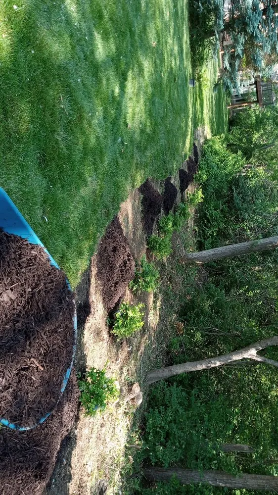 Custom lawn mowing service for beautiful yards in Kansas City, MO by Extreme Lawn Care