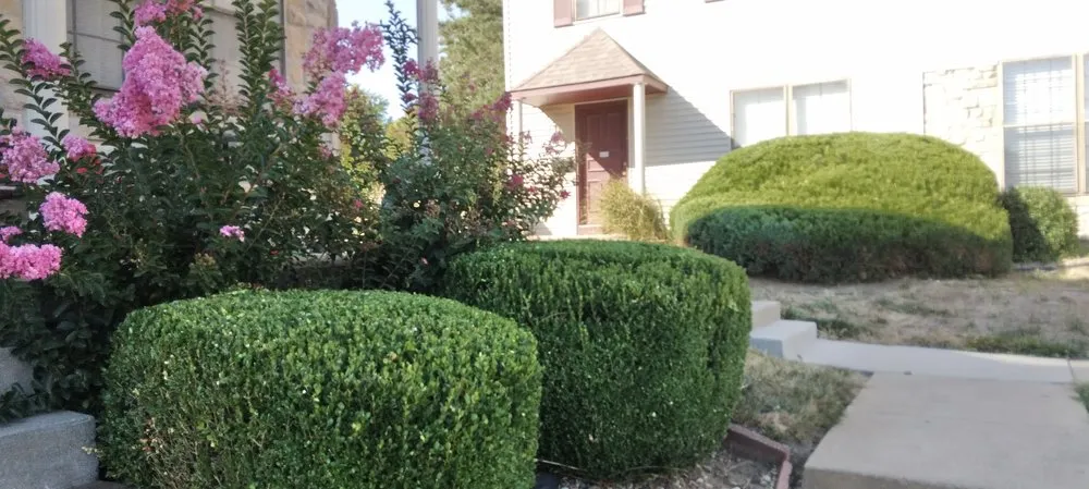 Trusted yard cleanup service experts serving Kansas City, MO - Extreme Lawn Care