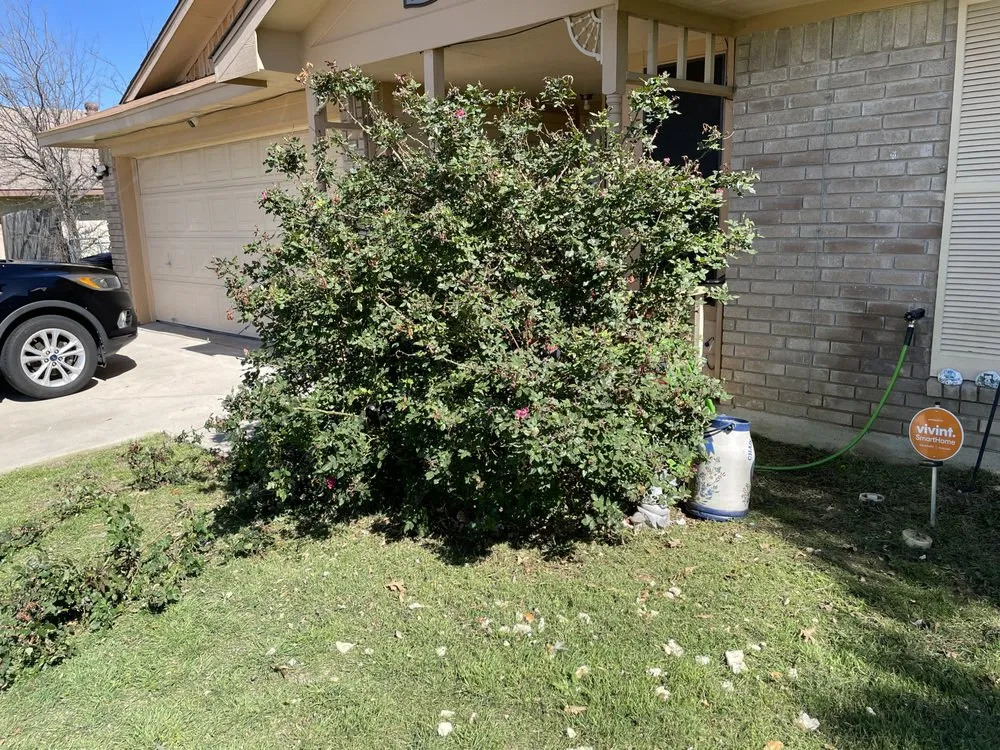 Custom yard cleanup service for outdoor upgrades in Killeen, TX by Extreme Lawn Care Lawn Company