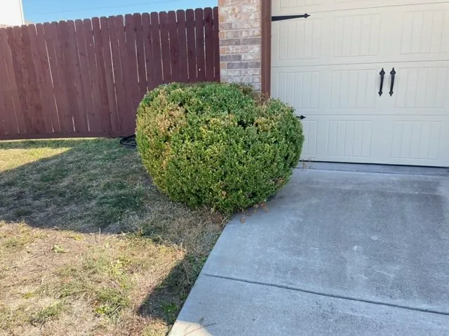 Local landscape installation in Killeen, TX - Extreme Lawn Care Lawn Company