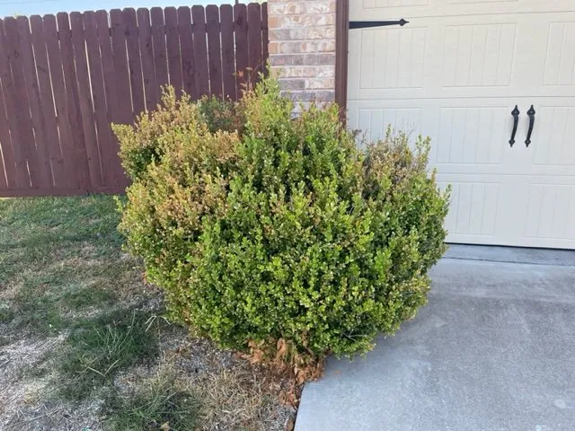 Professional residential landscaping in Killeen, TX by Extreme Lawn Care Lawn Company