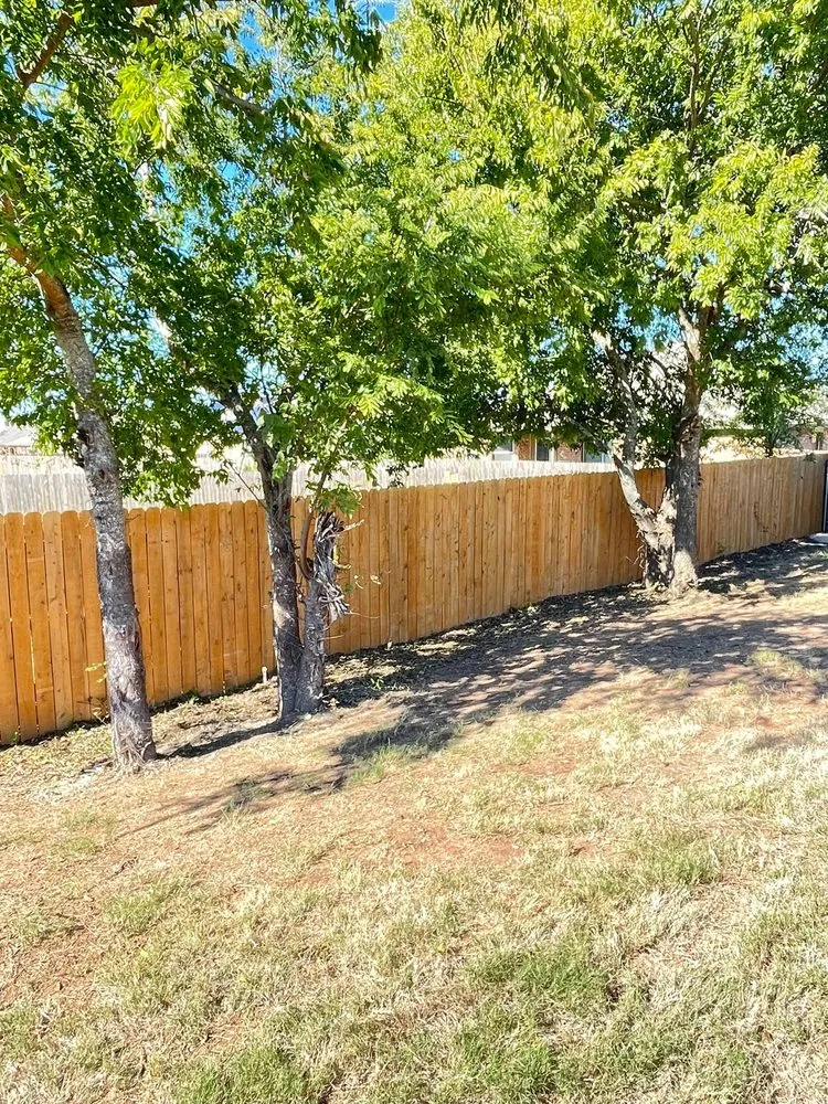 Expert lawn mowing service in Killeen, TX by Extreme Lawn Care Lawn Company