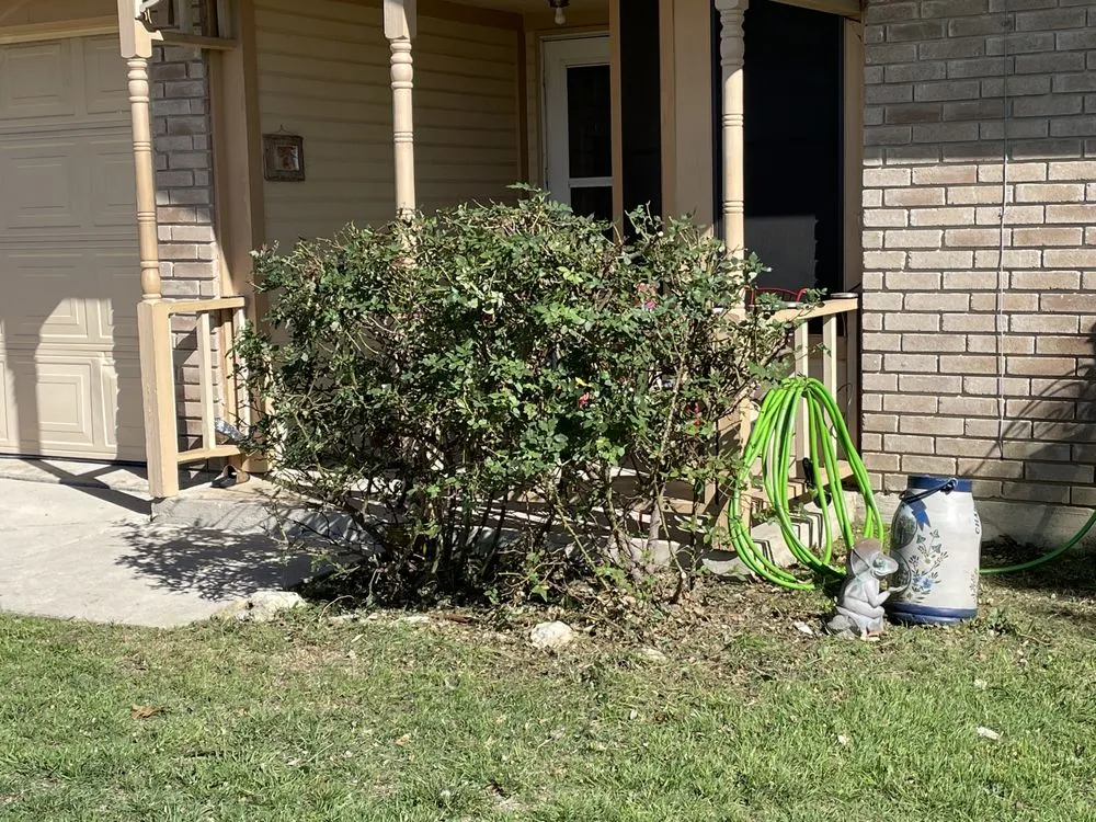 Trusted outdoor landscaping in Killeen, TX - Extreme Lawn Care Lawn Company