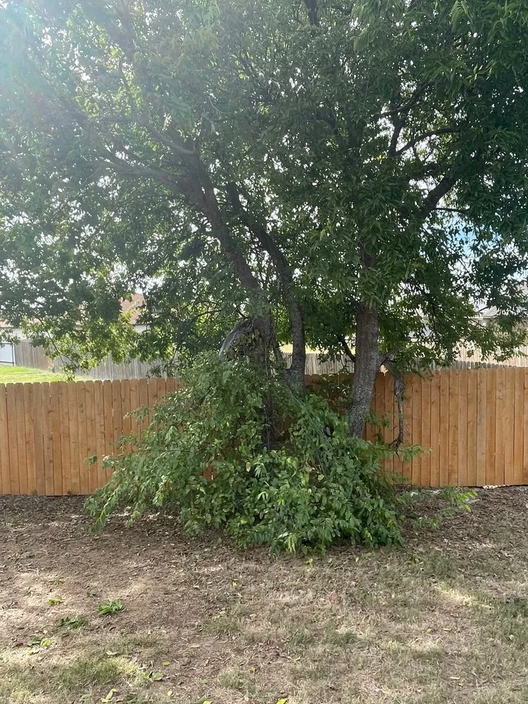 Professional outdoor landscaping for beautiful yards across Killeen, TX - Extreme Lawn Care Lawn Company