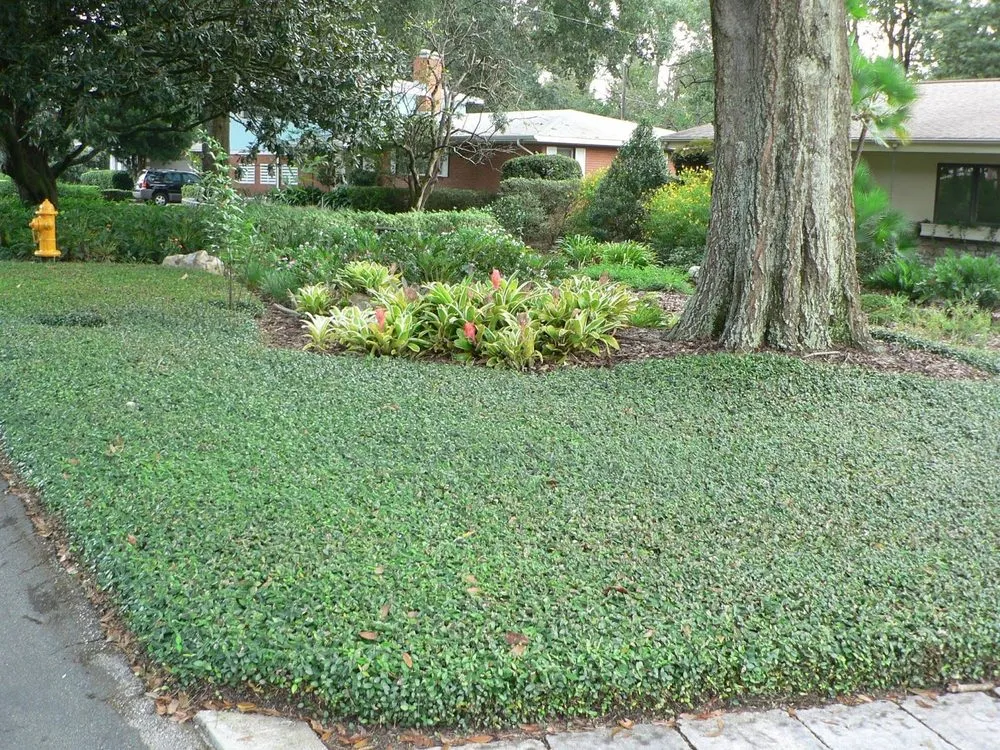 Local residential landscaping for homes across Polk City, FL - Extreme Lawn Service