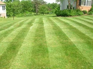 Trusted lawn mowing service in Polk City, FL by Extreme Lawn Service
