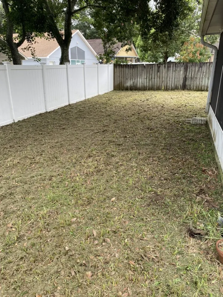 Affordable landscape design for outdoor upgrades in Polk City, FL by Extreme Lawn Service