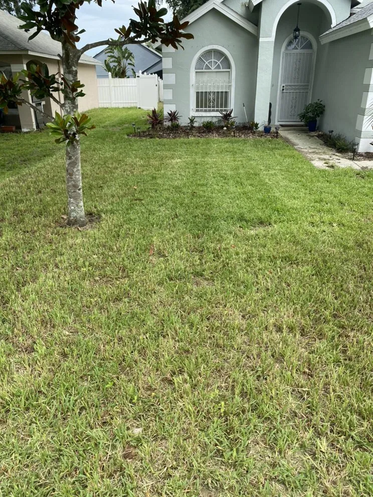 Reliable landscape installation with custom design across Polk City, FL - Extreme Lawn Service