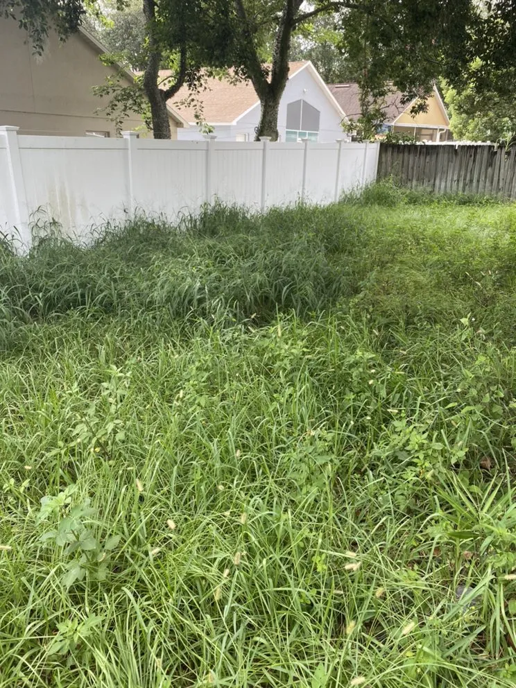 Custom yard cleanup service in Polk City, FL - Extreme Lawn Service