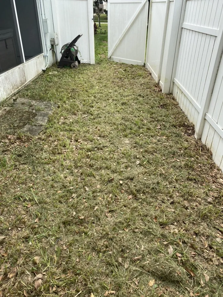 Trusted lawn care service for beautiful yards in Polk City, FL by Extreme Lawn Service