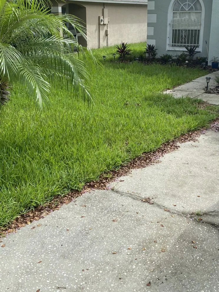 Local landscape installation experts serving Polk City, FL - Extreme Lawn Service