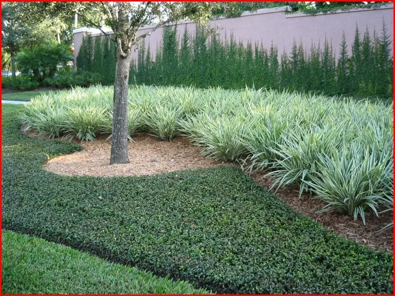 Trusted landscaping services for beautiful yards across Polk City, FL - Extreme Lawn Service