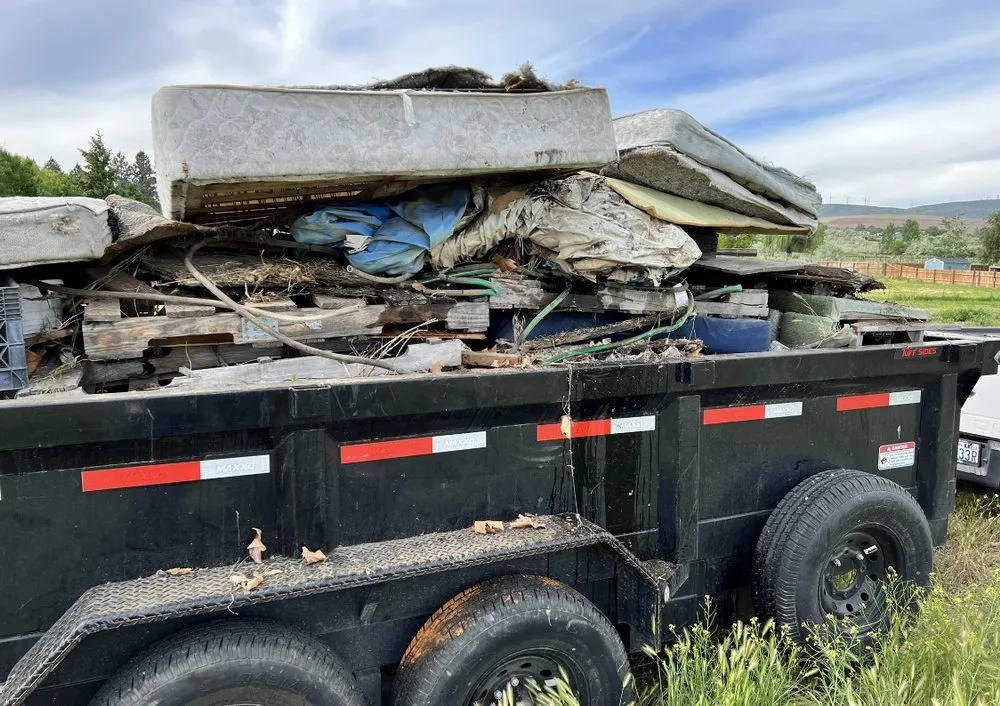 Trusted yard maintenance experts serving Pasco, WA - Extreme Lawn Services and Pest Control