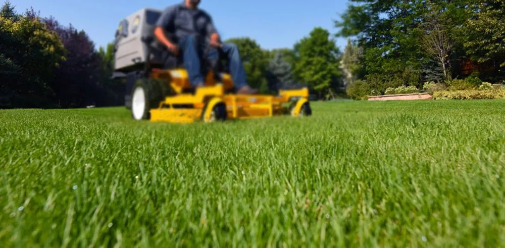 Local garden landscaping for outdoor upgrades in Pasco, WA by Extreme Lawn Services and Pest Control