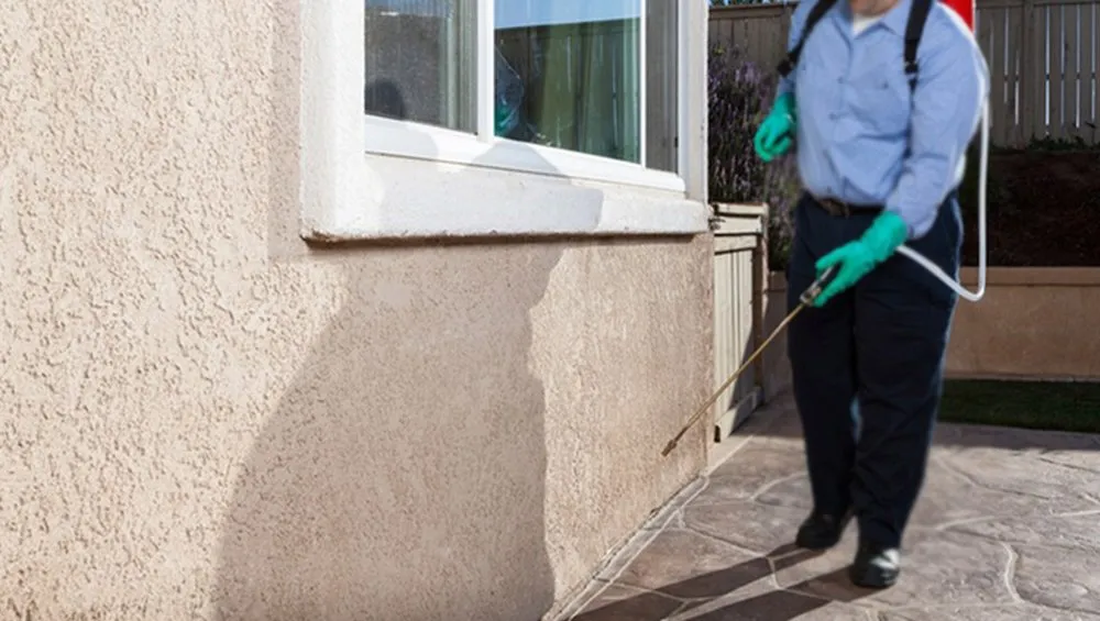 Affordable yard cleanup service for homes across Pasco, WA - Extreme Lawn Services and Pest Control