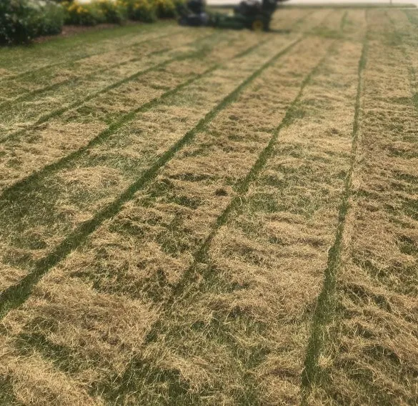 Local lawn care service in Pasco, WA by Extreme Lawn Services and Pest Control