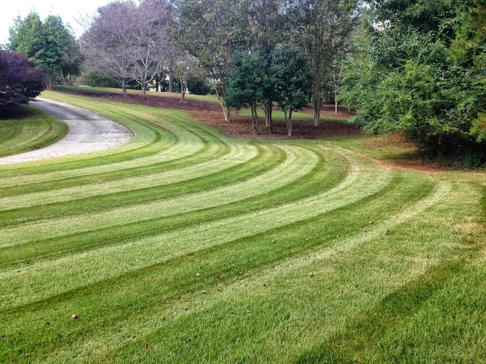 Professional landscape installation experts serving Gainesville, GA - Extreme Lawns