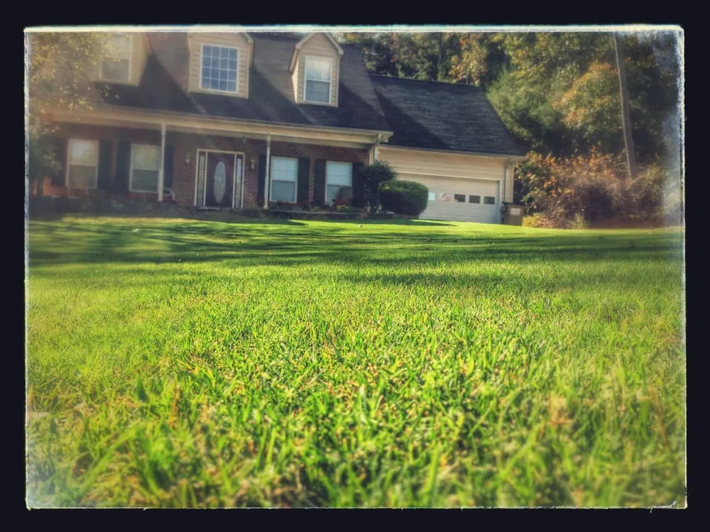 Affordable yard maintenance experts serving Gainesville, GA - Extreme Lawns