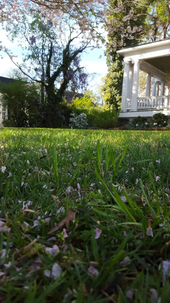 Trusted yard cleanup service near you across Gainesville, GA - Extreme Lawns
