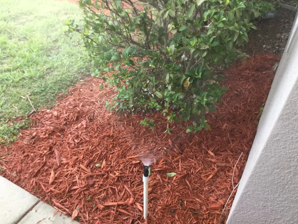 Top-rated landscape design in Davenport, FL by Extreme Maintenance