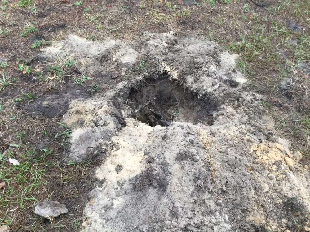 Top-rated lawn care service in Davenport, FL - Extreme Maintenance